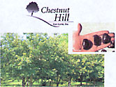 Chestnut Hill Nursery