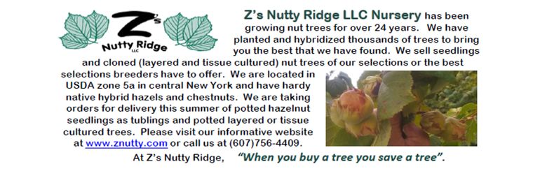Z's Nutty Ridge Nursery