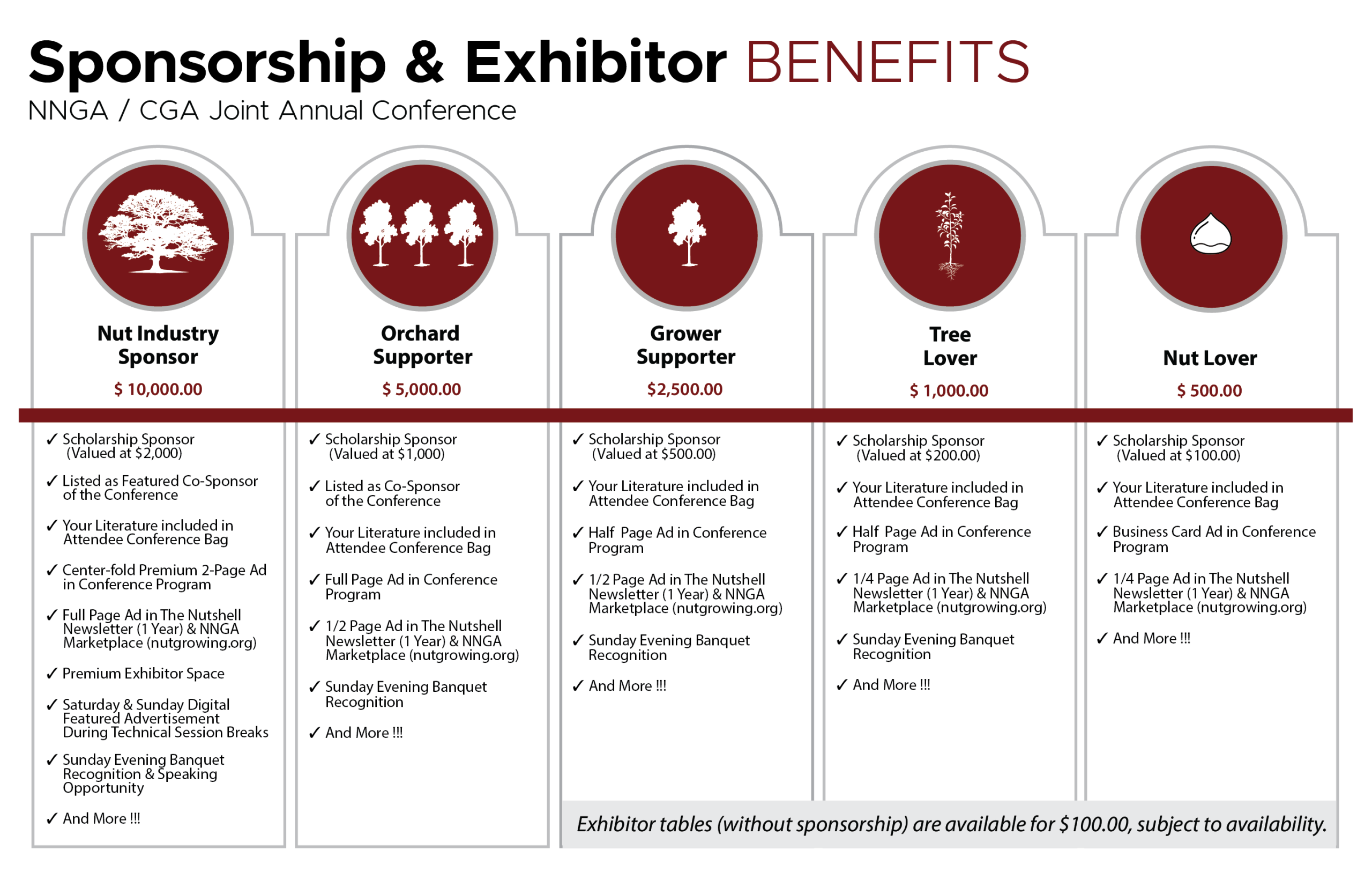 Sponsorship Tiers